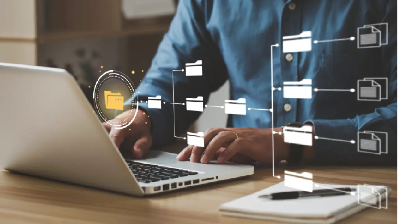 Website Migration